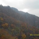 영남상회 이미지