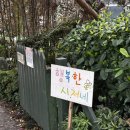 행복한금돼지 | 제주 [행복한 시저네] · 흑돼지 짜글이 내돈내산 후기