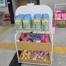 국립과천과학관 어울림홀 | 아기상어 뮤지컬 국립과천과학관 관람후기 및 주차정보