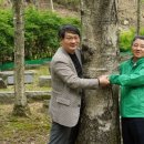 충주산업임업