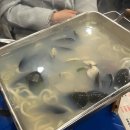 초이스 성인PC 이미지