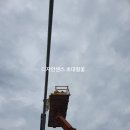 월출산플라워