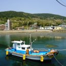 까멜리아 이미지