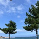 고래포 | 울진LG생활연수원 (20230820-21)