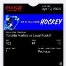 토론토 | 토론토 말리스 하키 직관 후기🏒 가성비 좋은 하키 경기 (Toronto Marlies vs Laval Rocket)