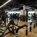 바디스타짐 이미지