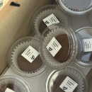 피그랜드 1단지 | 두친자의 세.모.두(세상의 모든 두쫀쿠) 후기