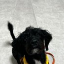 쿠아안경 이미지