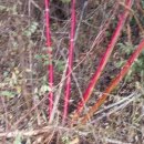 단식농장 이미지