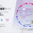엣지크린
