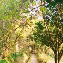 쌍산재민박 이미지