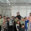 강남새싹유치원 이미지