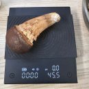 [건강푸드] 고기보다 맛있는 '참송이 버섯' 요리방법 및 보관 솔직후기 (구산농원)