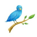 파랑새2 이미지