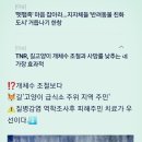 김원일농장 이미지