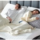 헤라코리아 이미지