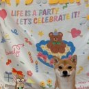 댕금님표 수제간식 이미지