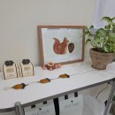 푸딩이네 | 제주 푸딩 맛집 🍮 동문시장 미세스묵 이색 디저트 후기