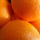 루이스타 휘트니스 이미지