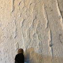 뿌리한약국 이미지