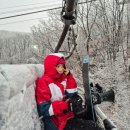 GS25 덕이송윤점 | 렌탈샵 W스키 내돈내산 폭설에 보드 타고 온 후기(스키장 리프트 장비 할인, 리조트에서 곤지암역 버스