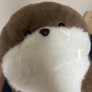 한림대학교 기숙사 | 봄 내놔