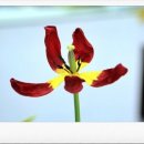 서영농장 이미지