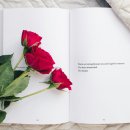 아너스빌세탁소 이미지