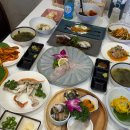 해화담 | 동대구역 횟집 참가자미 회 코스 맛집 해화담