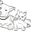 청림펜션 이미지