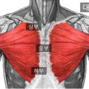 휘트니스 에스온 이미지