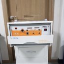 아비가엘 이미지