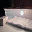 병아리펜션 | 병아리 키우기, 펜션에서 받은 유정란 병아리 부화기