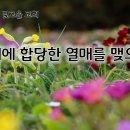 2월14일(금) 회개에 합당한 열매를 맺으라! 이미지