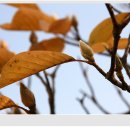 옥곡중학교 이미지