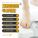 엘리나의원