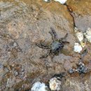 푸른바다팬션 이미지