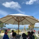 오븐데이 네이버블로그