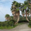 상선민박 이미지