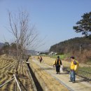 벌교숲공원 이미지