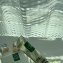 푸드포유 | 더부룩함 이제 안녕! 업그레이드 리뉴얼 '한포유 양배추매실'로 위 건강 지키기 💚