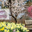 (주)꽃랜드 이미지