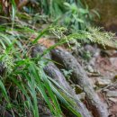 금정이야기 이미지