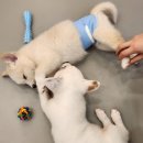 망우본동 공영주차장 이미지