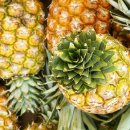 파인애플 이미지