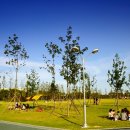 생활의 향기 이미지