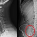 백석정형외과의원 이미지