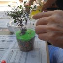 신망애노인요양원 이미지