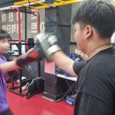 번영 복싱체육관 이미지