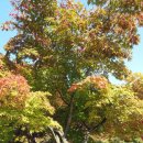 원주시노인종합복지관 이미지